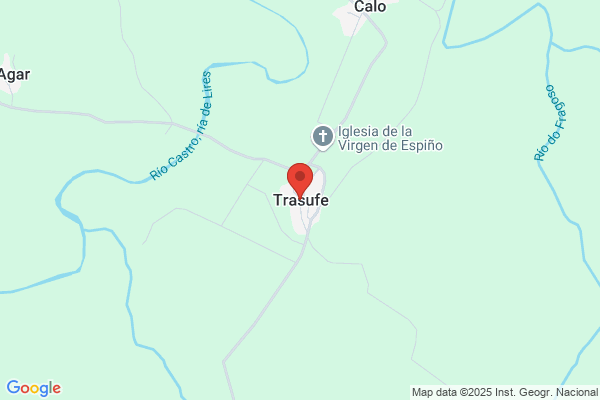 Trasmifueza C.A.