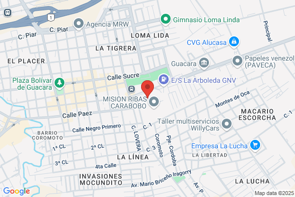 Corporación Venezolana de Transporte Silva, S.A.
