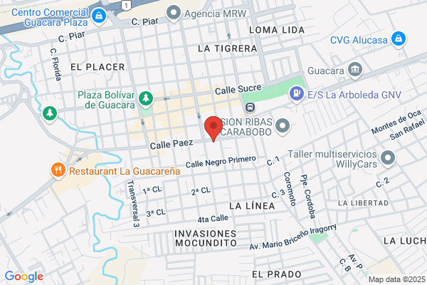 Rectificadora Guacara, C.A.
