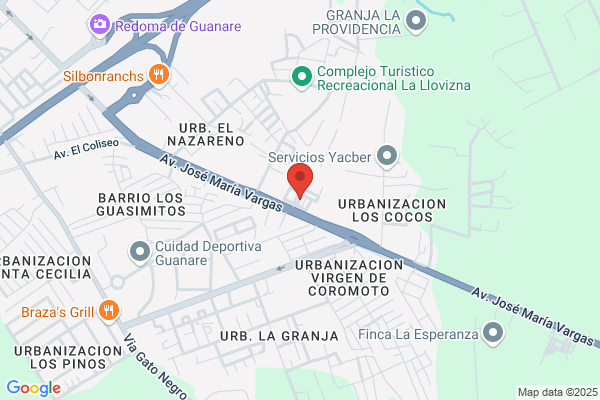 Motel Los Cospes