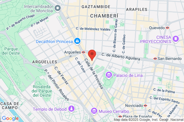 Hotel Princesa Plaza