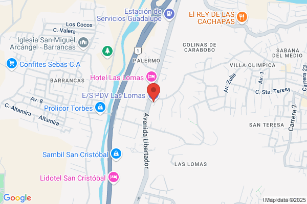 Multi Servicios Las Lomas, C. A.
