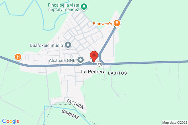 Distribuciones y Representaciones Rodríguez y Rodríguez