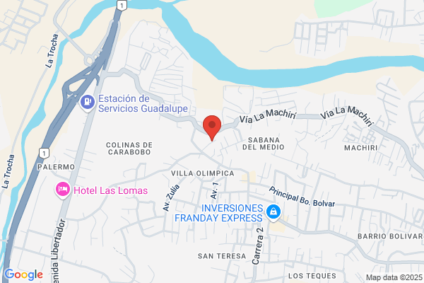 Servicios Inmobiliarios y Financieros, C. A.