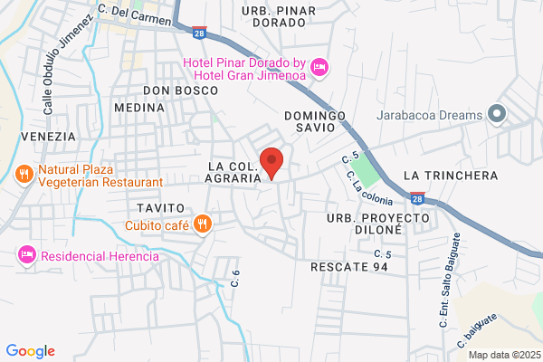 El Centro del Repuesto
