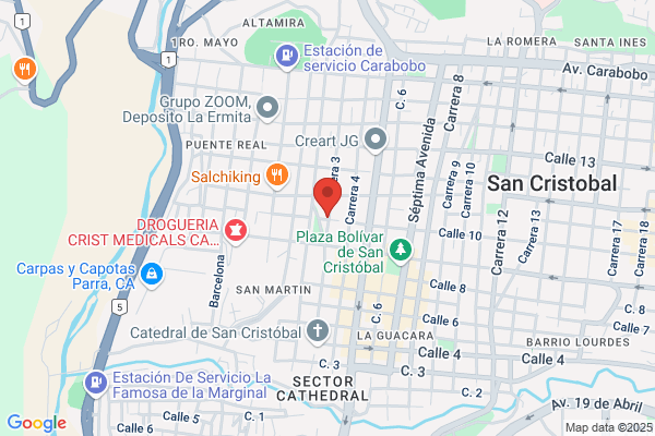Repuestos y servicios Los Amigos