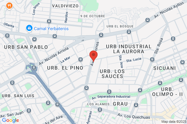 Servicios Automotrices El Peruano