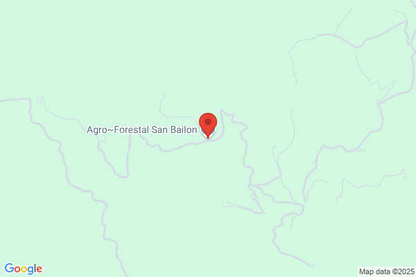 Agroforestal Fallor