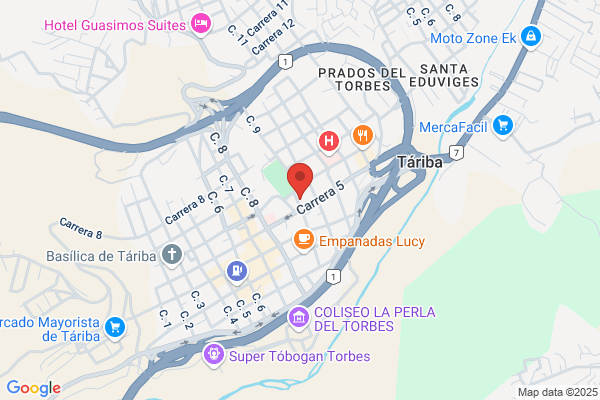 Auto Repuestos El Carmen