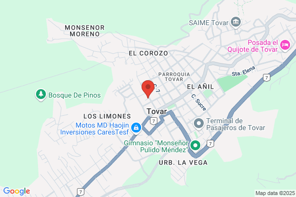 Repuestos La Avenida