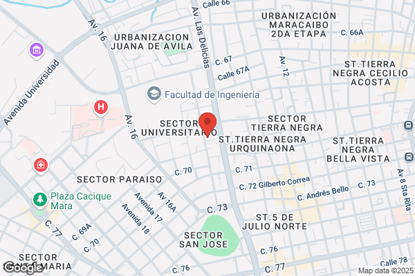 Osmar Larreal & Asociados SC
