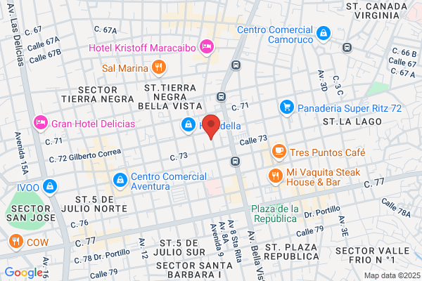 Inversiones V&V, C.A