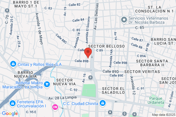 Palmira Motors, C.A