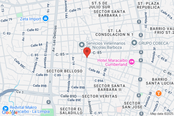 Auto Repuesto Bonino, C.A
