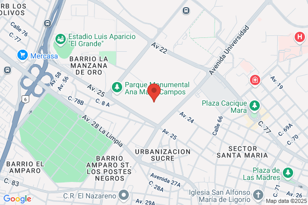 Gestora Aeropuerto
