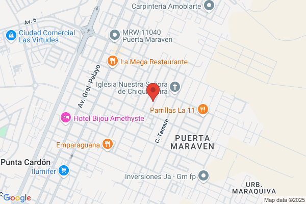 Fumigaciones Paraguana, C.A