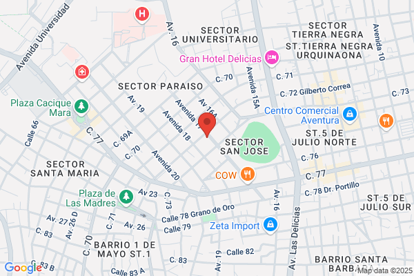 Instituto Universitario Pedro E. Coll