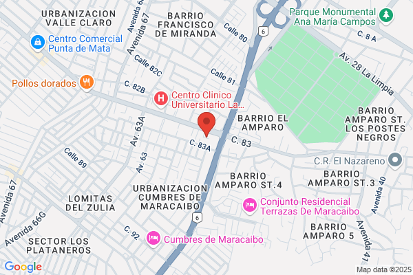 Representaciones Data Show