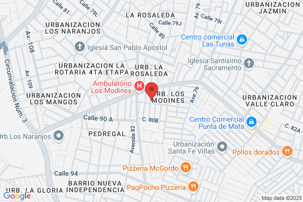 Organización Técnica de Seguridad OTS, CA.